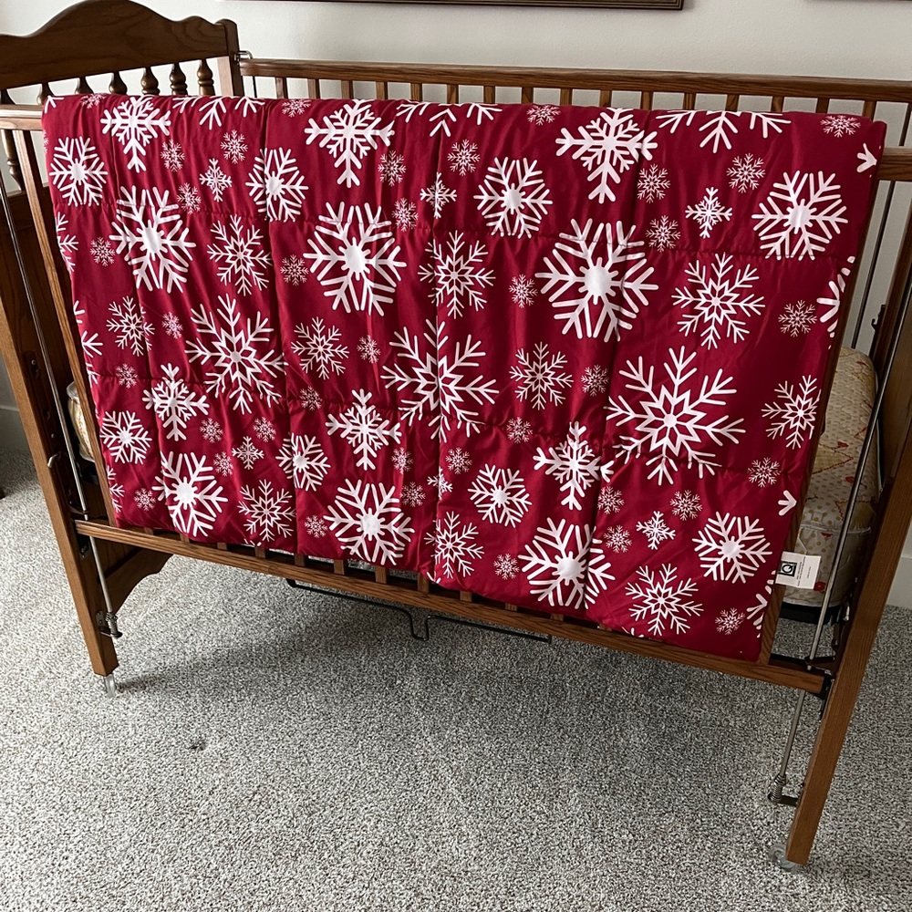 Holiday Down Alternative Full/Queen Comforter Set - EUC